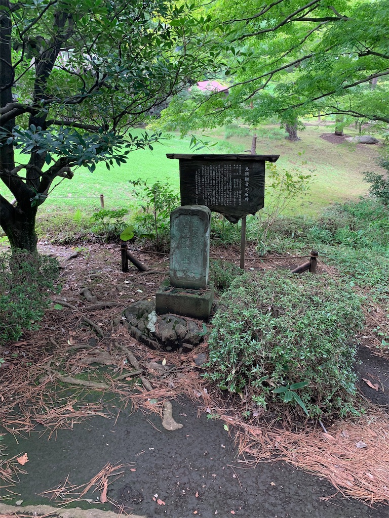 f:id:Torikunn:20190911162026j:image