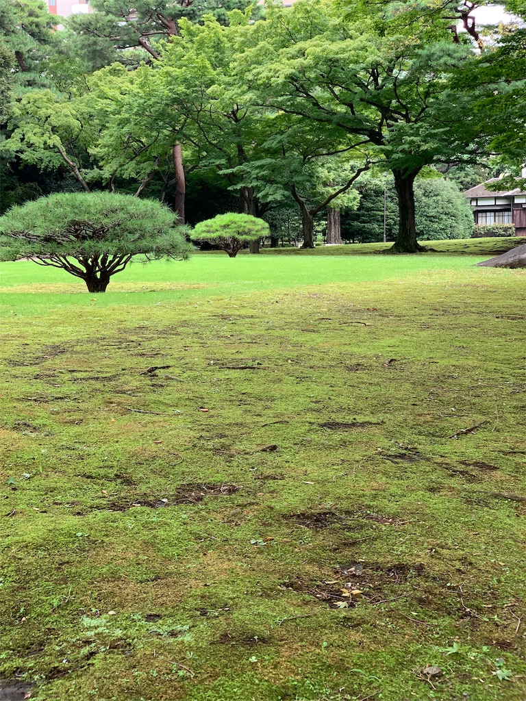 f:id:Torikunn:20190911162034j:image