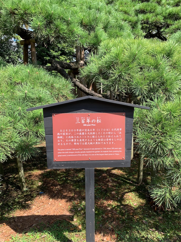 f:id:Torikunn:20190917143437j:image f:id:Torikunn:20190917143437j:image