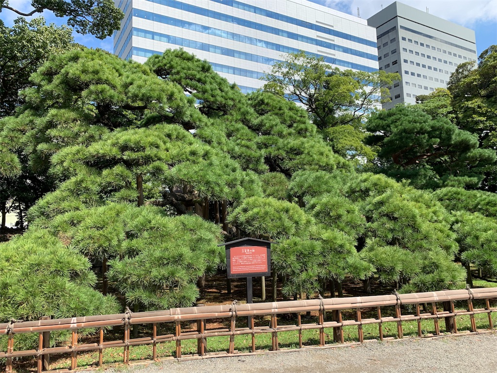 f:id:Torikunn:20190917143522j:image f:id:Torikunn:20190917143522j:image