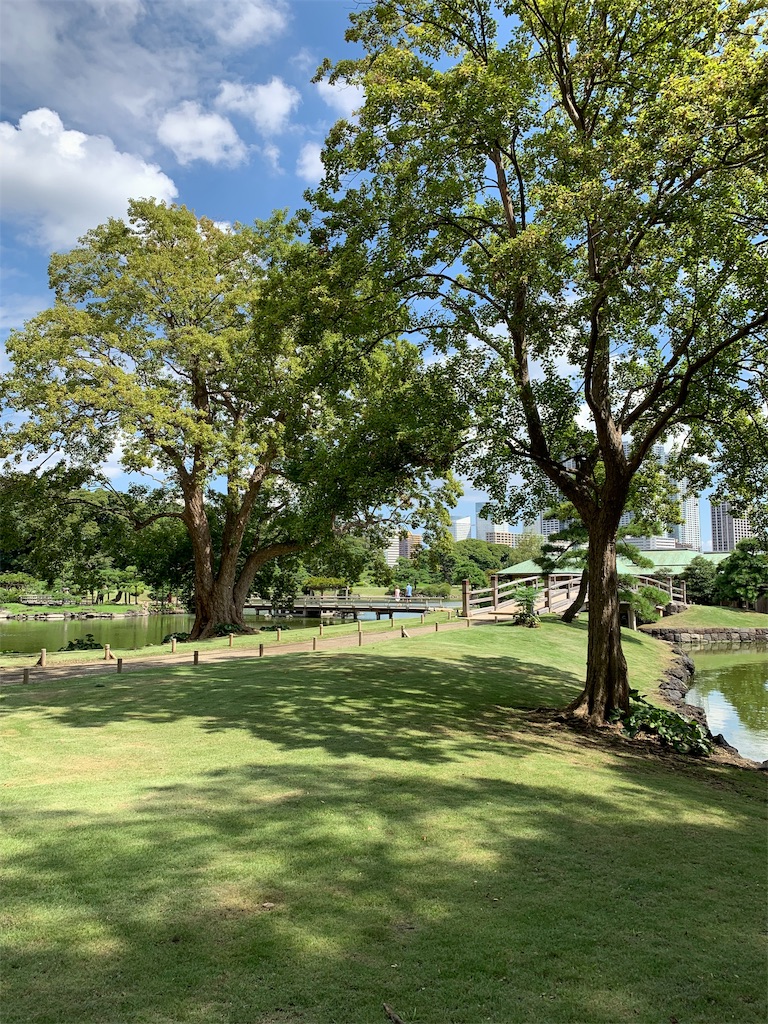 f:id:Torikunn:20190918094902j:image f:id:Torikunn:20190918094902j:image