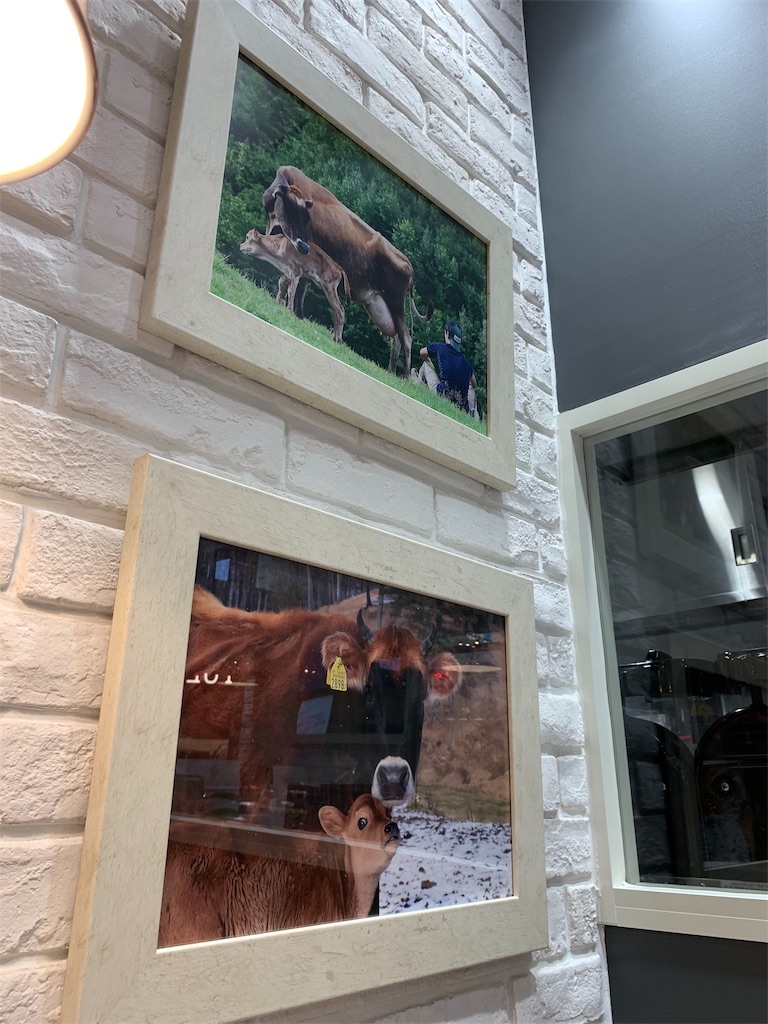 f:id:Torikunn:20191008204546j:image f:id:Torikunn:20191008204546j:image