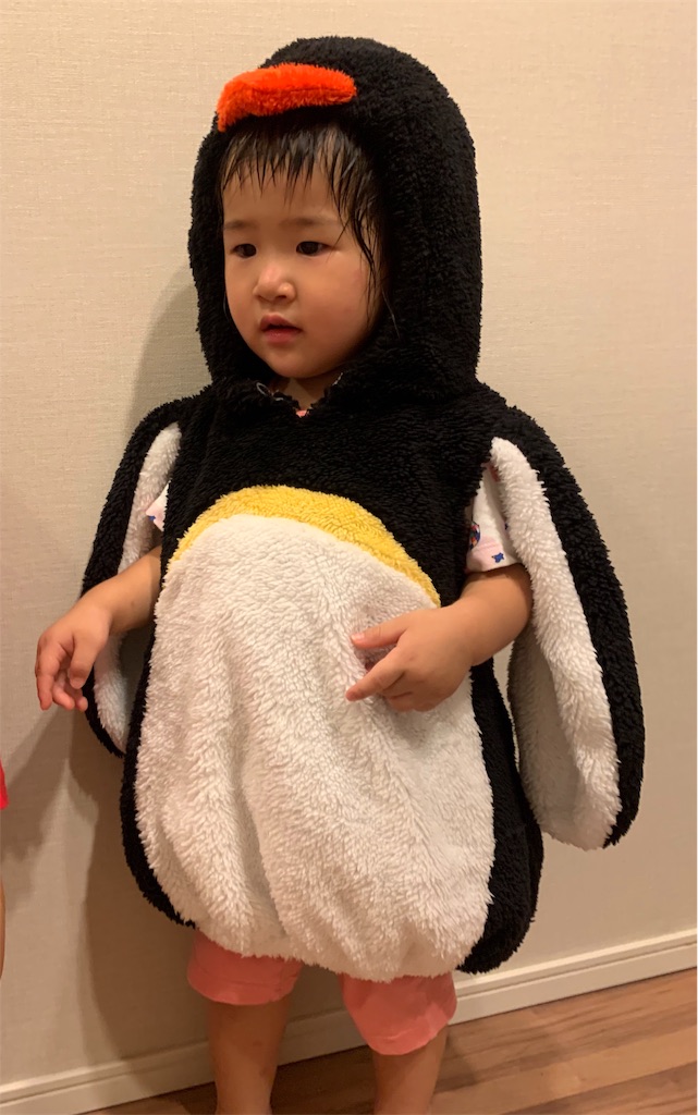 f:id:Torikunn:20191012222326j:image f:id:Torikunn:20191012222326j:image