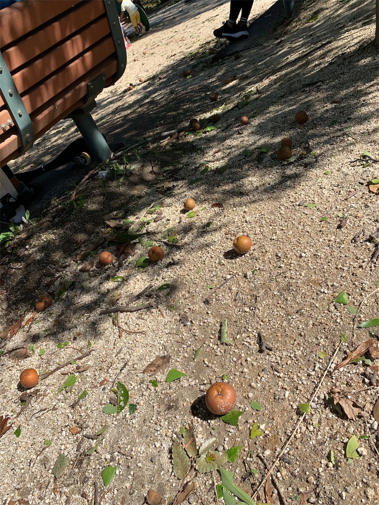 f:id:Torikunn:20191013214535j:image