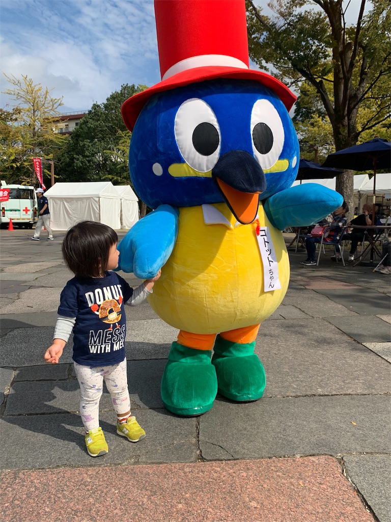 f:id:Torikunn:20191021121731j:image