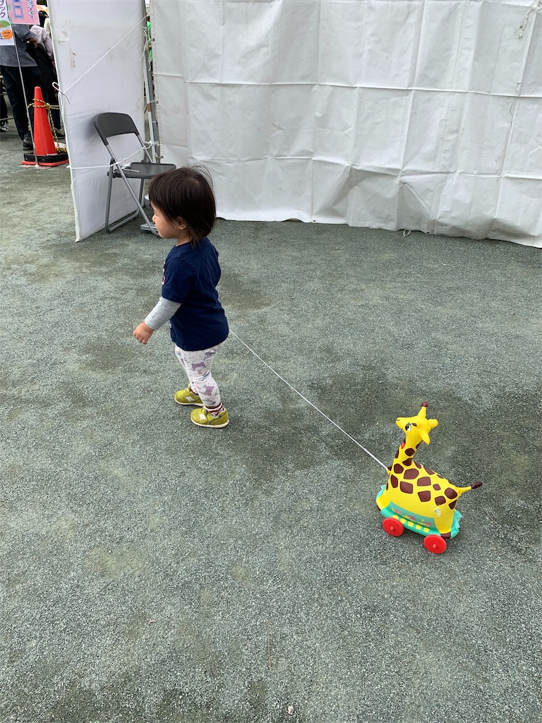 f:id:Torikunn:20191021122627j:image