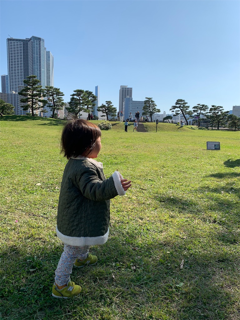 f:id:Torikunn:20191112213915j:image f:id:Torikunn:20191112213915j:image