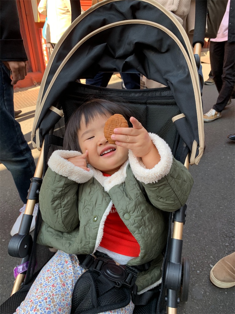 f:id:Torikunn:20191112213938j:image f:id:Torikunn:20191112213938j:image