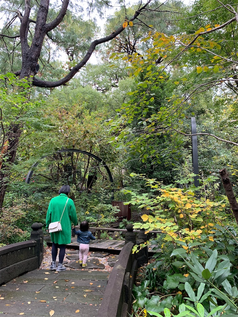 f:id:Torikunn:20191126222846j:image