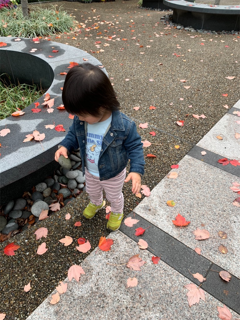 f:id:Torikunn:20191126222910j:image