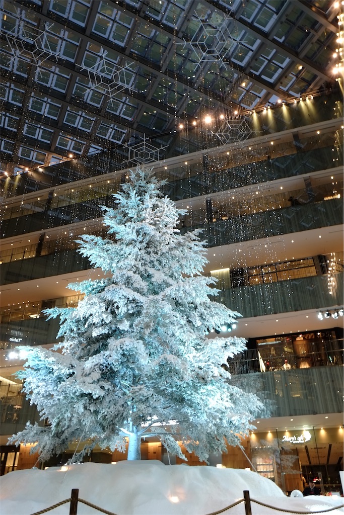 f:id:Torikunn:20191128154350j:image