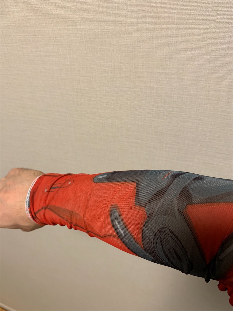 f:id:Torikunn:20191230220354j:image