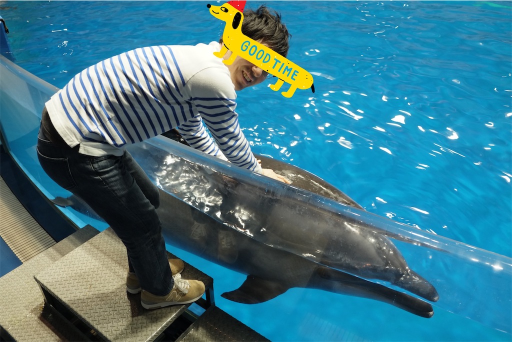 f:id:Torikunn:20200122234604j:image f:id:Torikunn:20200122234604j:image