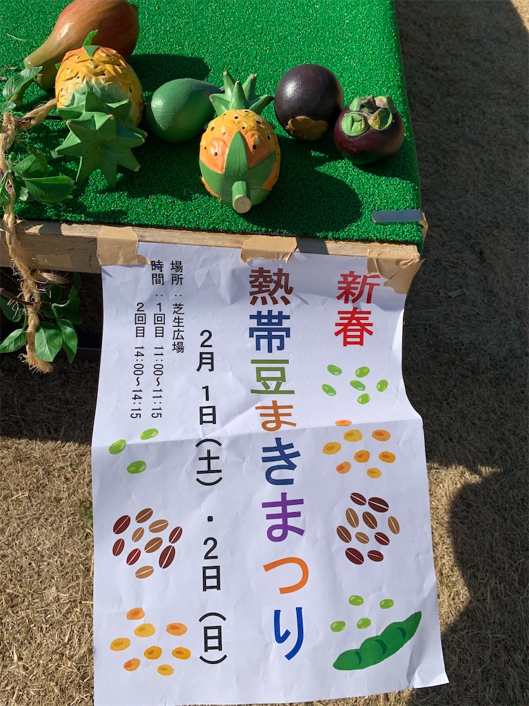 f:id:Torikunn:20200203174511j:image