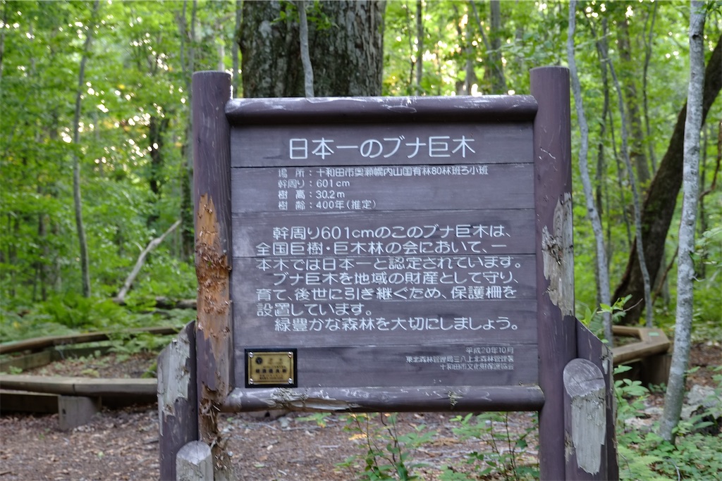 f:id:Torikunn:20200415065445j:image f:id:Torikunn:20200415065445j:image