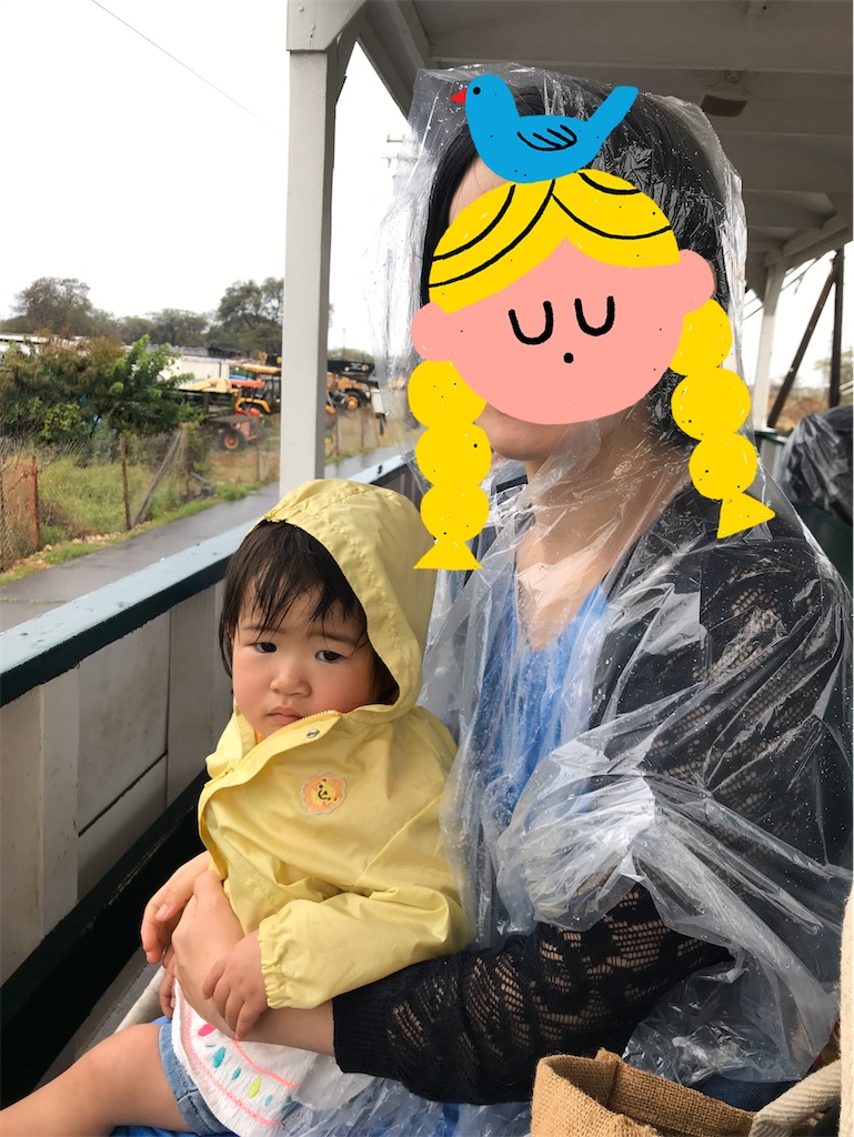 f:id:Torikunn:20200429000730j:image