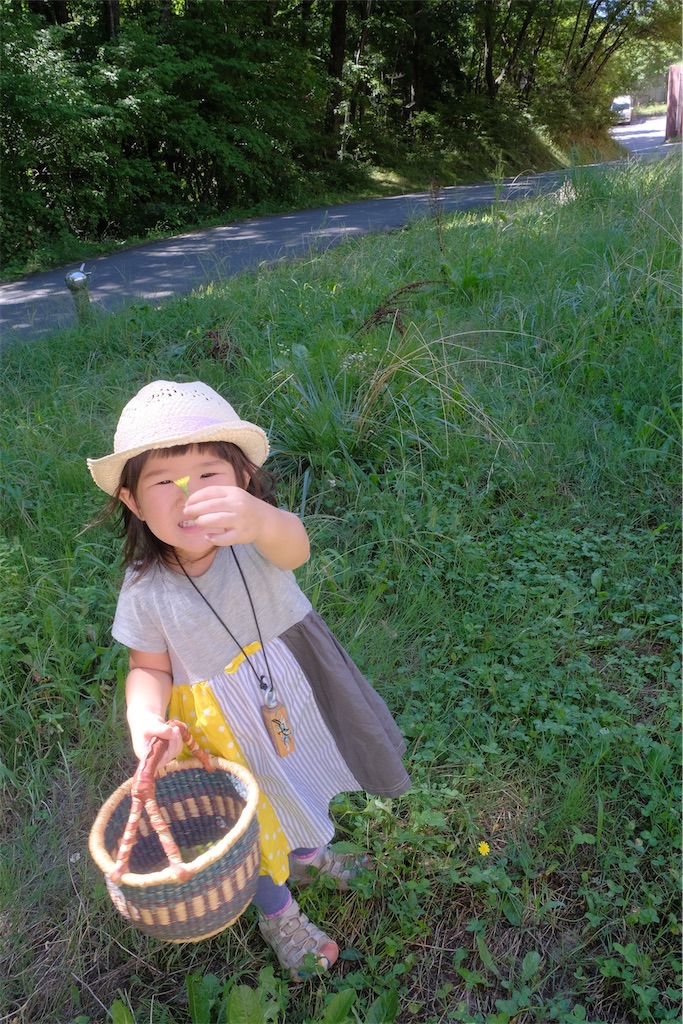 f:id:Torikunn:20200819233610j:image f:id:Torikunn:20200819233610j:image