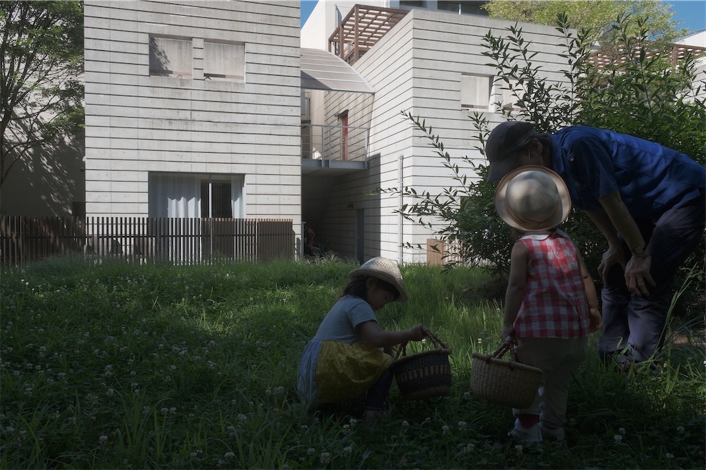 f:id:Torikunn:20200819233617j:image f:id:Torikunn:20200819233617j:image