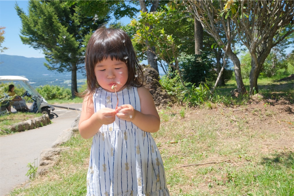 f:id:Torikunn:20200819234117j:image f:id:Torikunn:20200819234117j:image