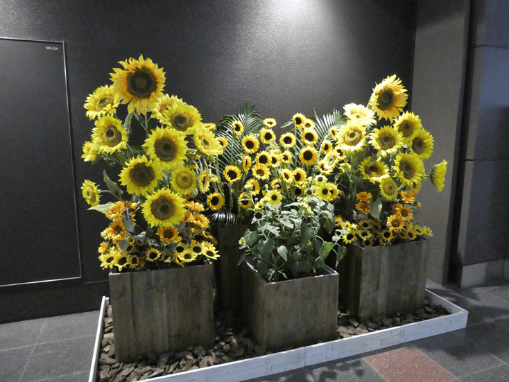 haneda airport terminal1