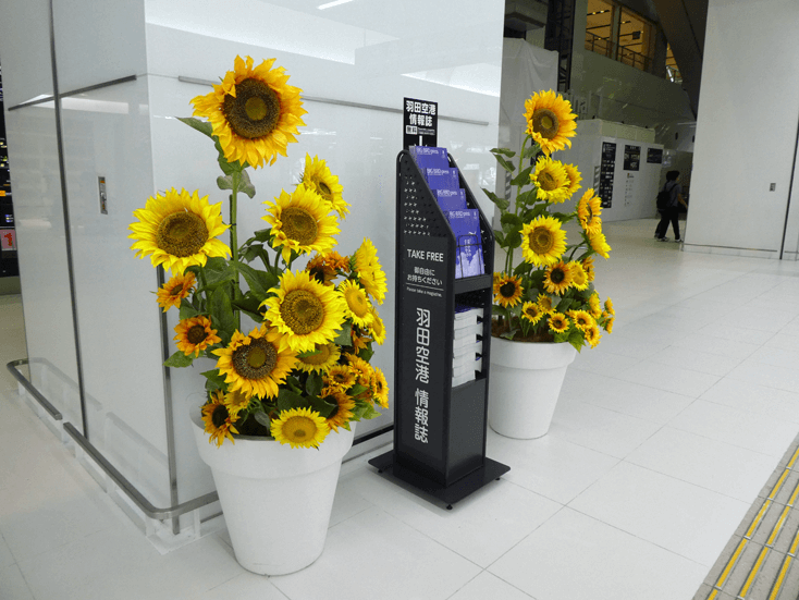 haneda airport terminal1