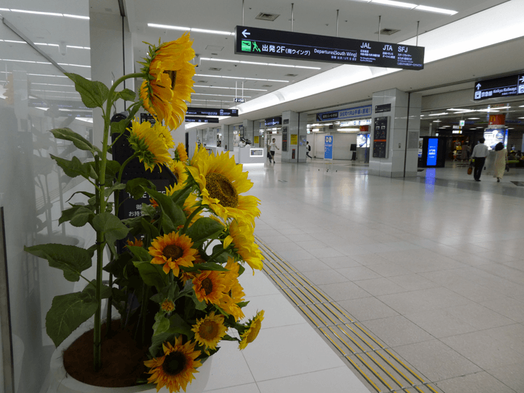 haneda airport terminal1