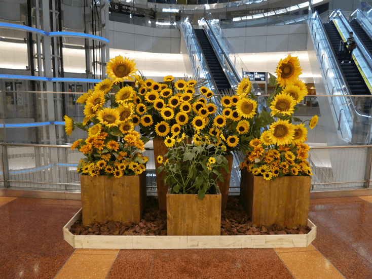 haneda airport terminal2