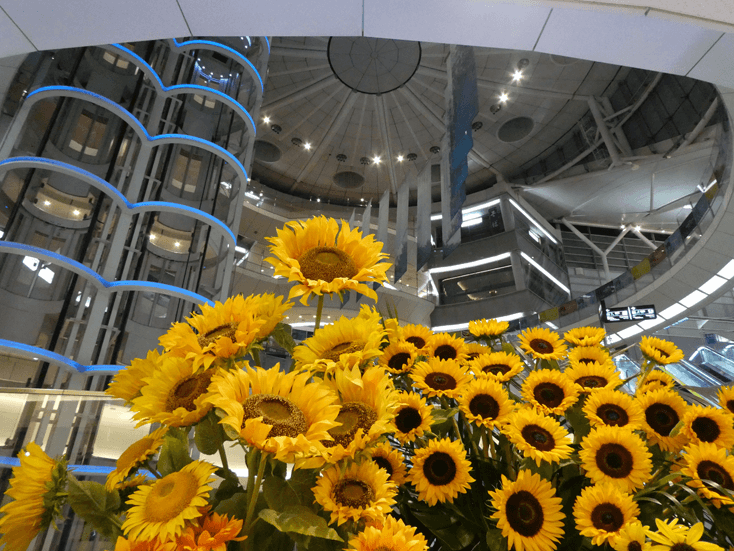 haneda airport terminal2
