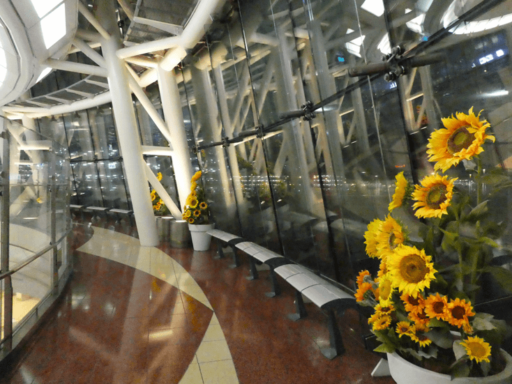 haneda airport terminal2