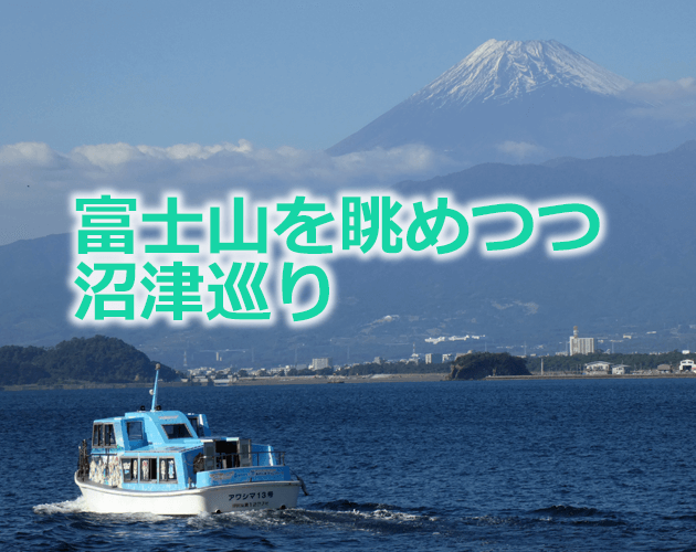 友人の力を借りて盛大に沼津を回ってみた 2日目前編 沼津市街 淡島巡り編 とりうみトラベル Oct 2020 とりうみトラベログ