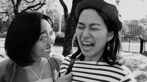 映画かよ。Like in Movies 第52話「猫が行方不明」