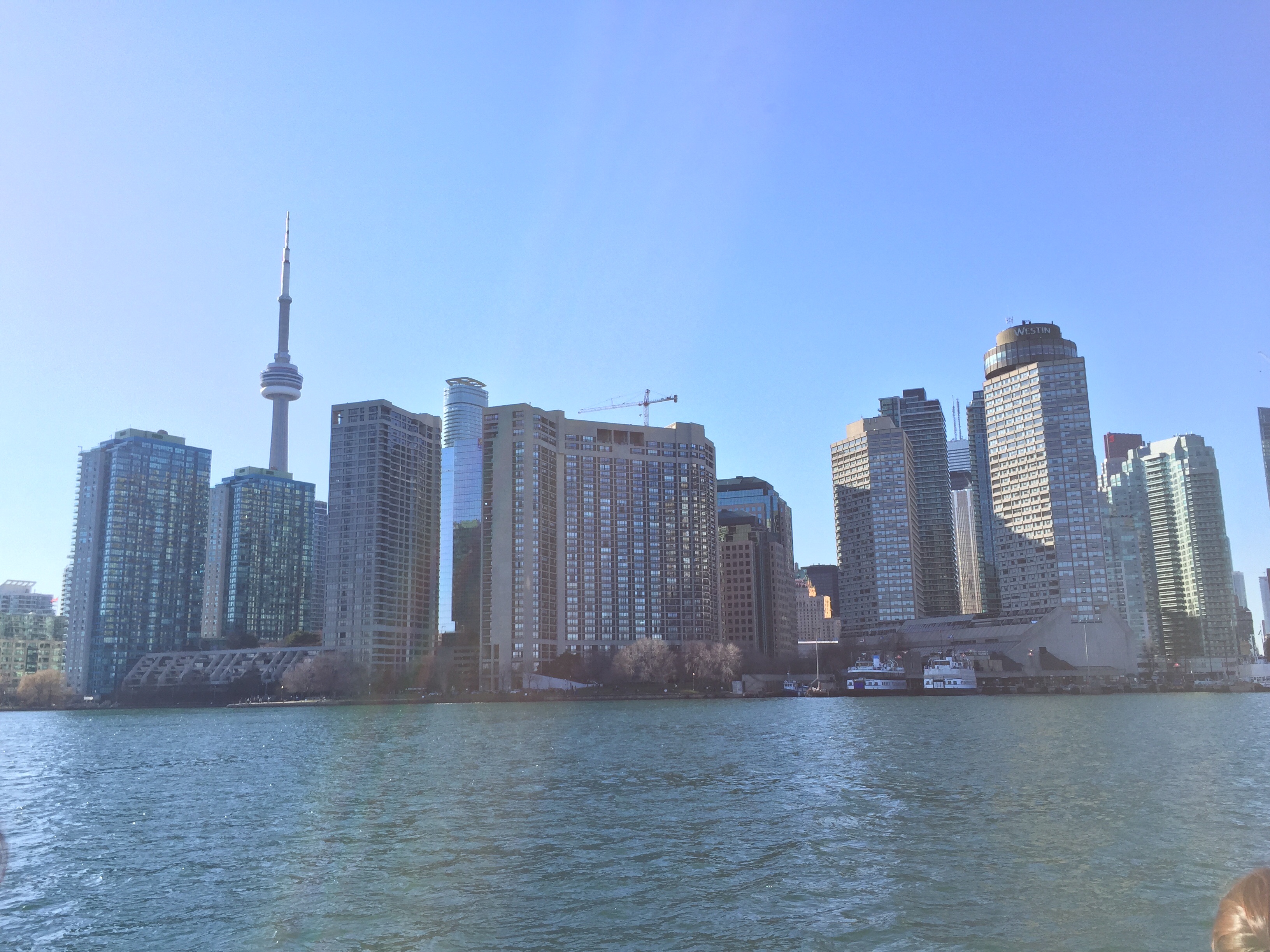 f:id:Torontochantoittemashu0228:20160504060604j:image f:id:Torontochantoittemashu0228:20160504060604j:image
