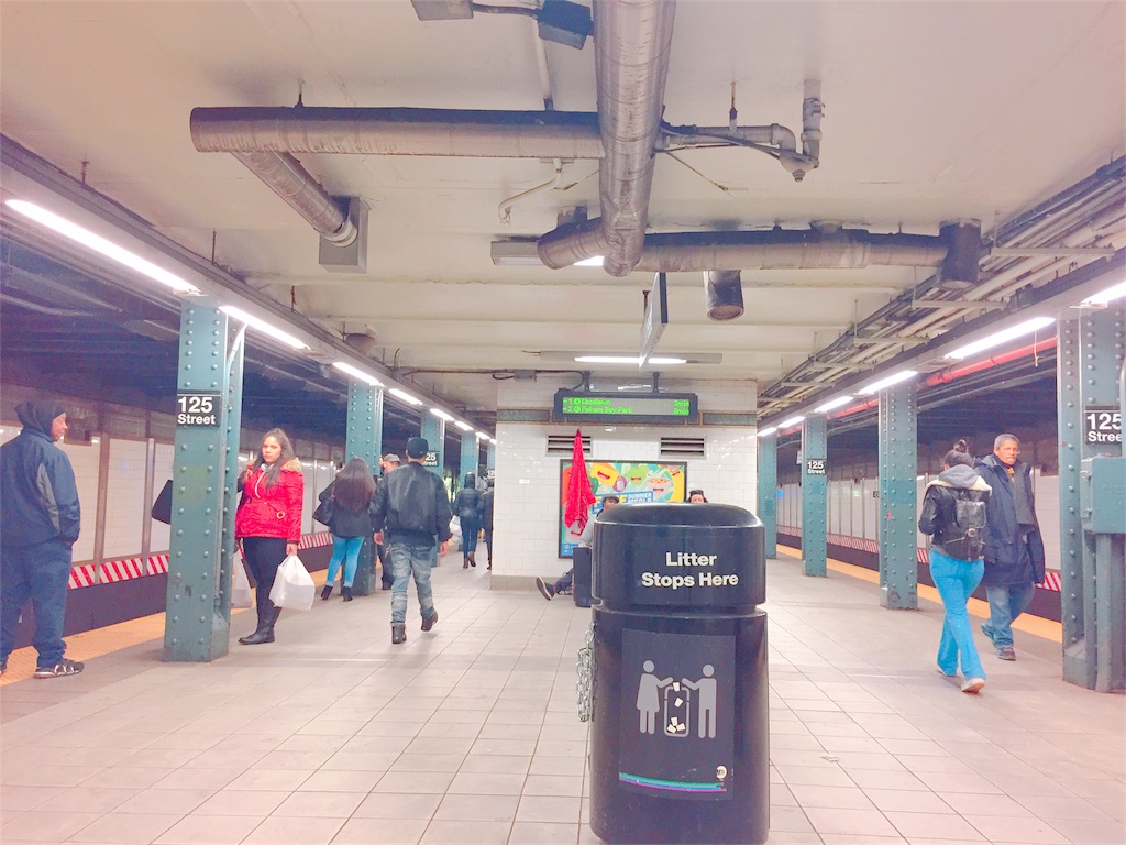 f:id:Torontochantoittemashu0228:20161129063829j:image f:id:Torontochantoittemashu0228:20161129063829j:image