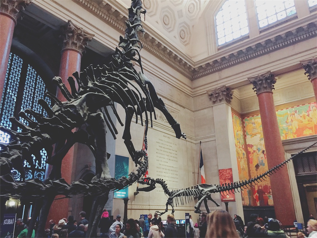 f:id:Torontochantoittemashu0228:20161215080824j:image f:id:Torontochantoittemashu0228:20161215080824j:image