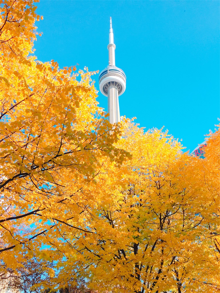 f:id:Torontochantoittemashu0228:20170209002029j:image