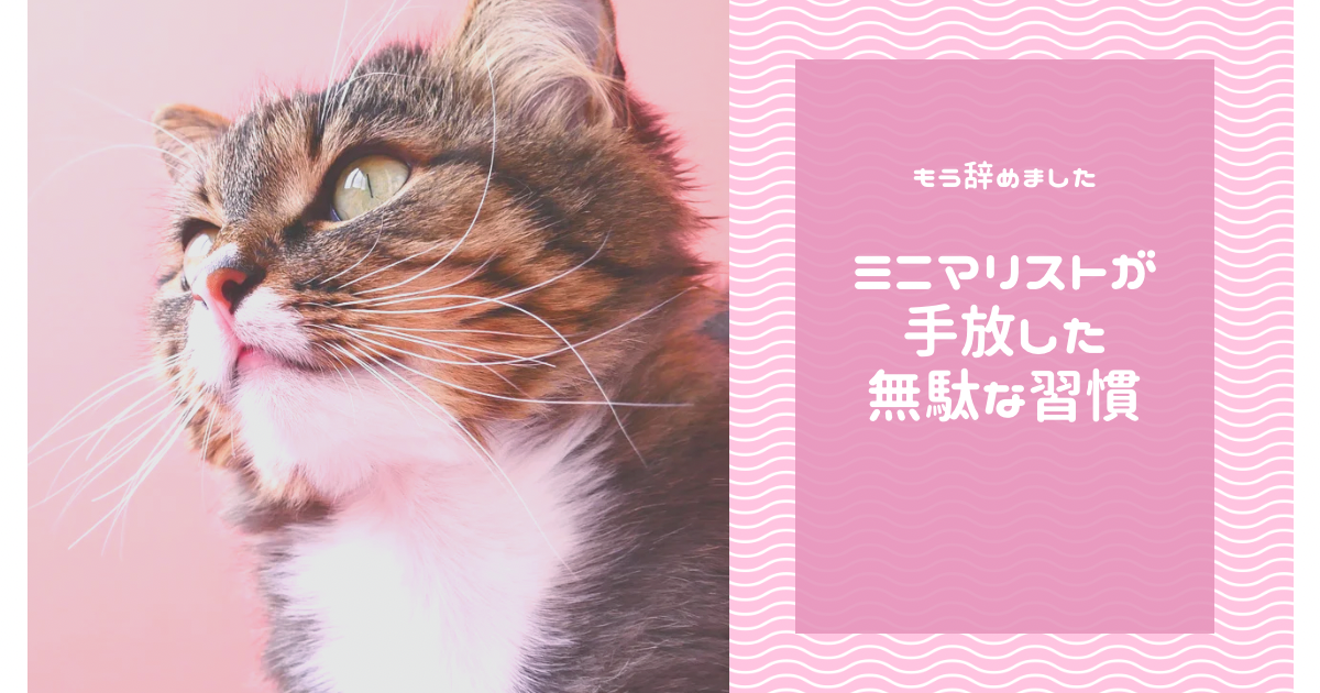 f:id:Toscy:20250609100024p:image