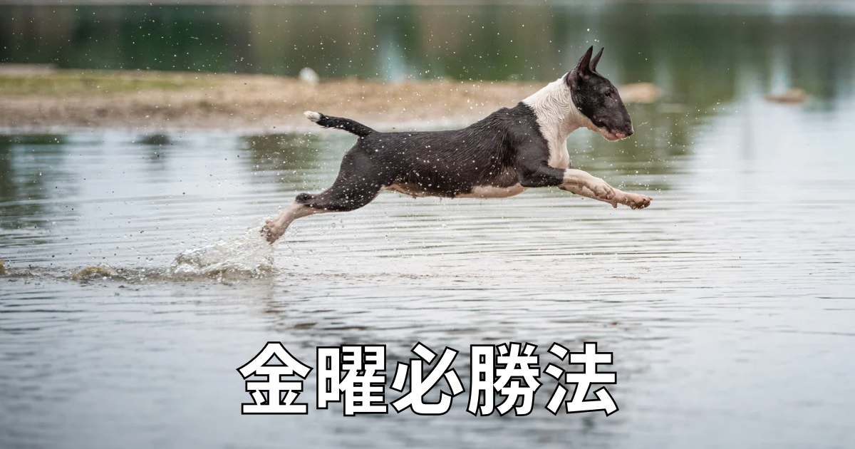 f:id:Toscy:20250613071352p:image