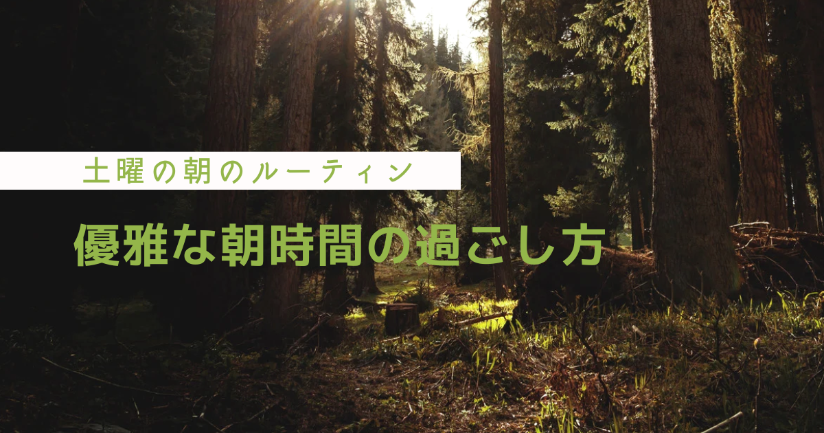 f:id:Toscy:20250614000807p:image