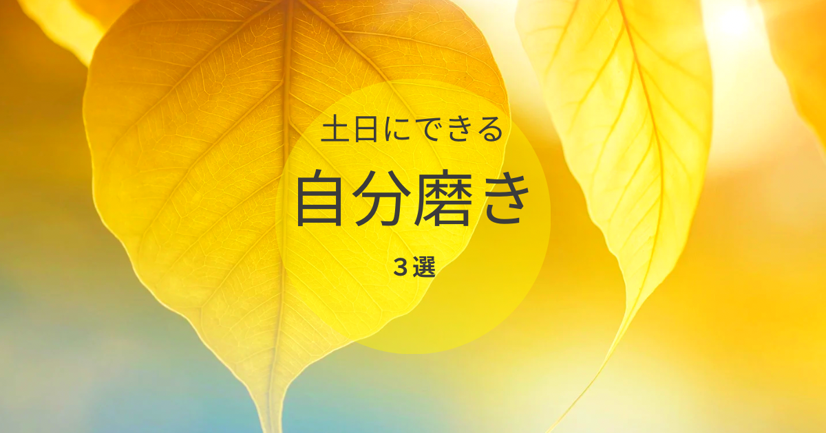 f:id:Toscy:20250614084039p:image