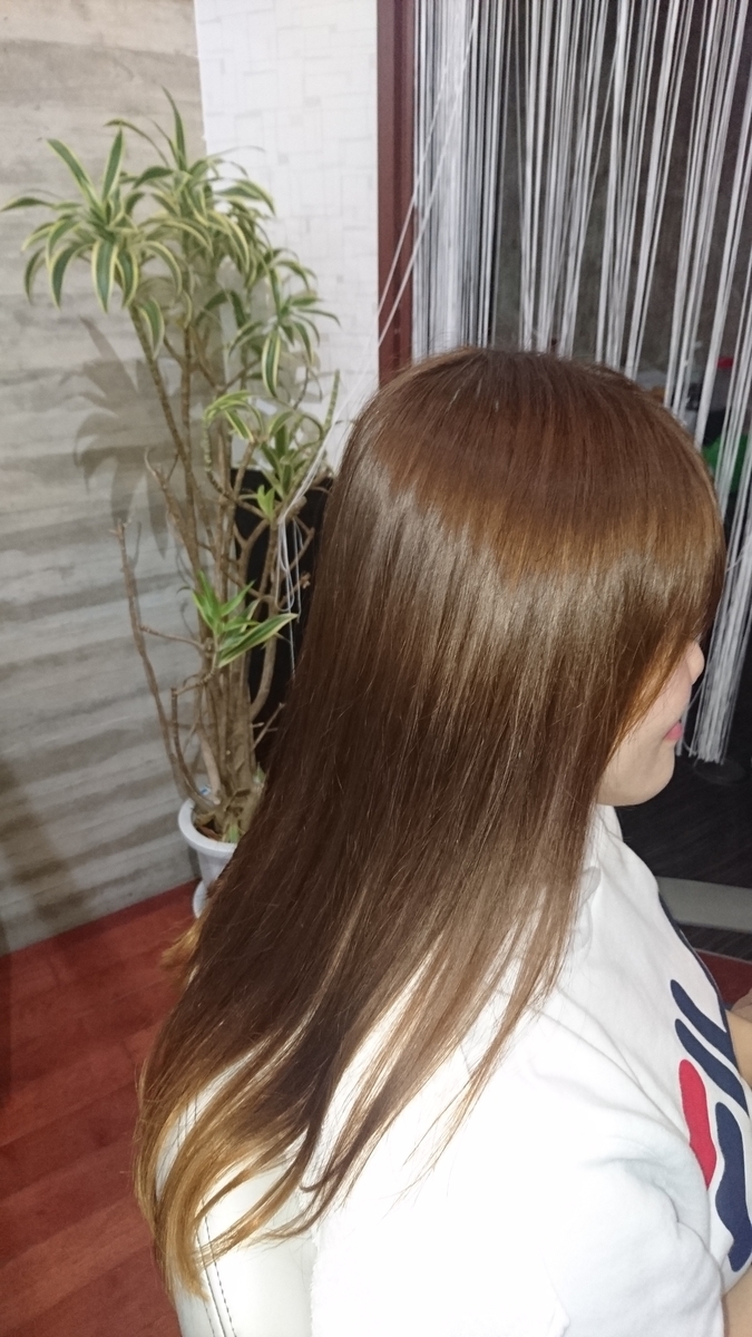 f:id:Toshi0308i:20190414133815j:plain