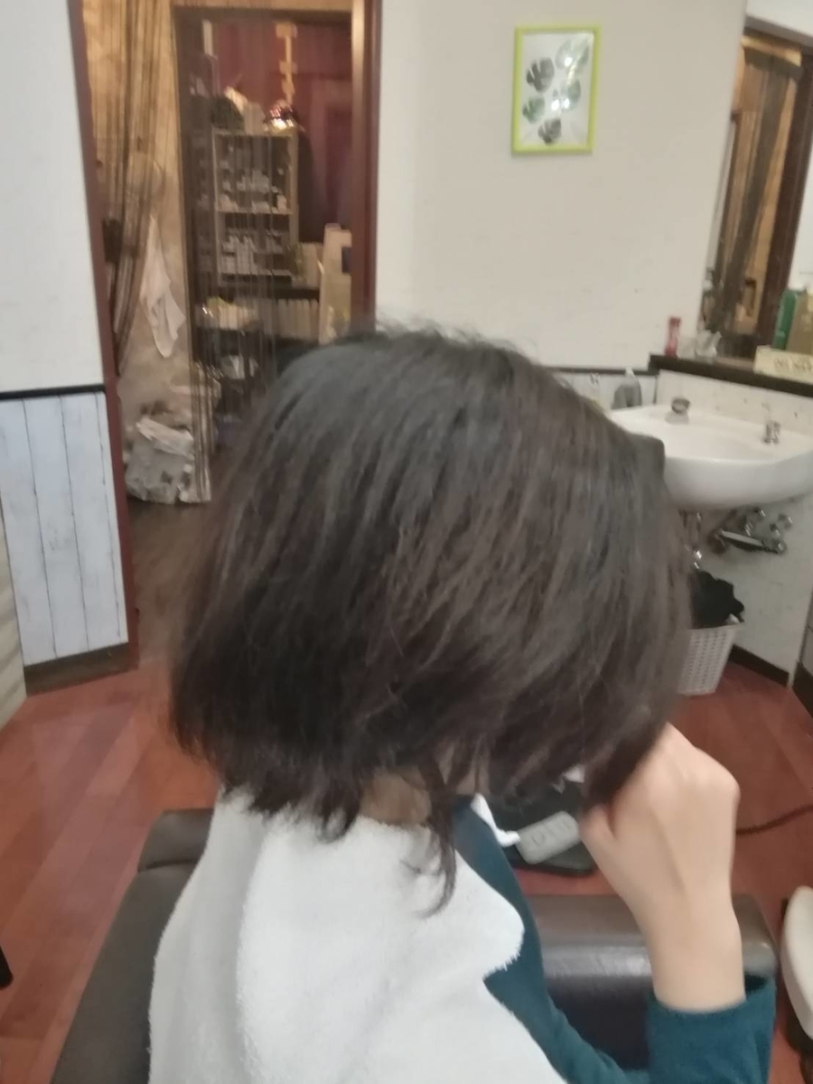 f:id:Toshi0308i:20190420141605j:plain