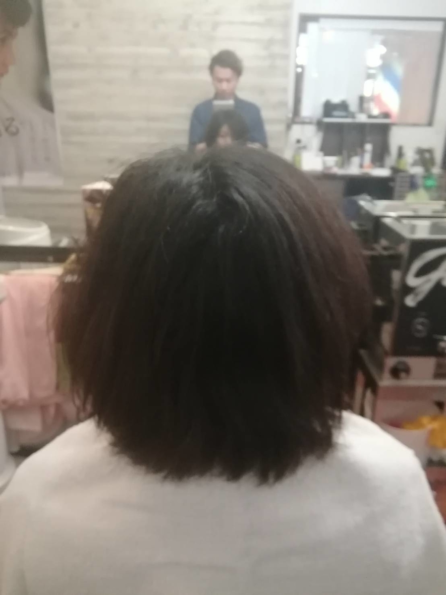 f:id:Toshi0308i:20190424112401j:plain