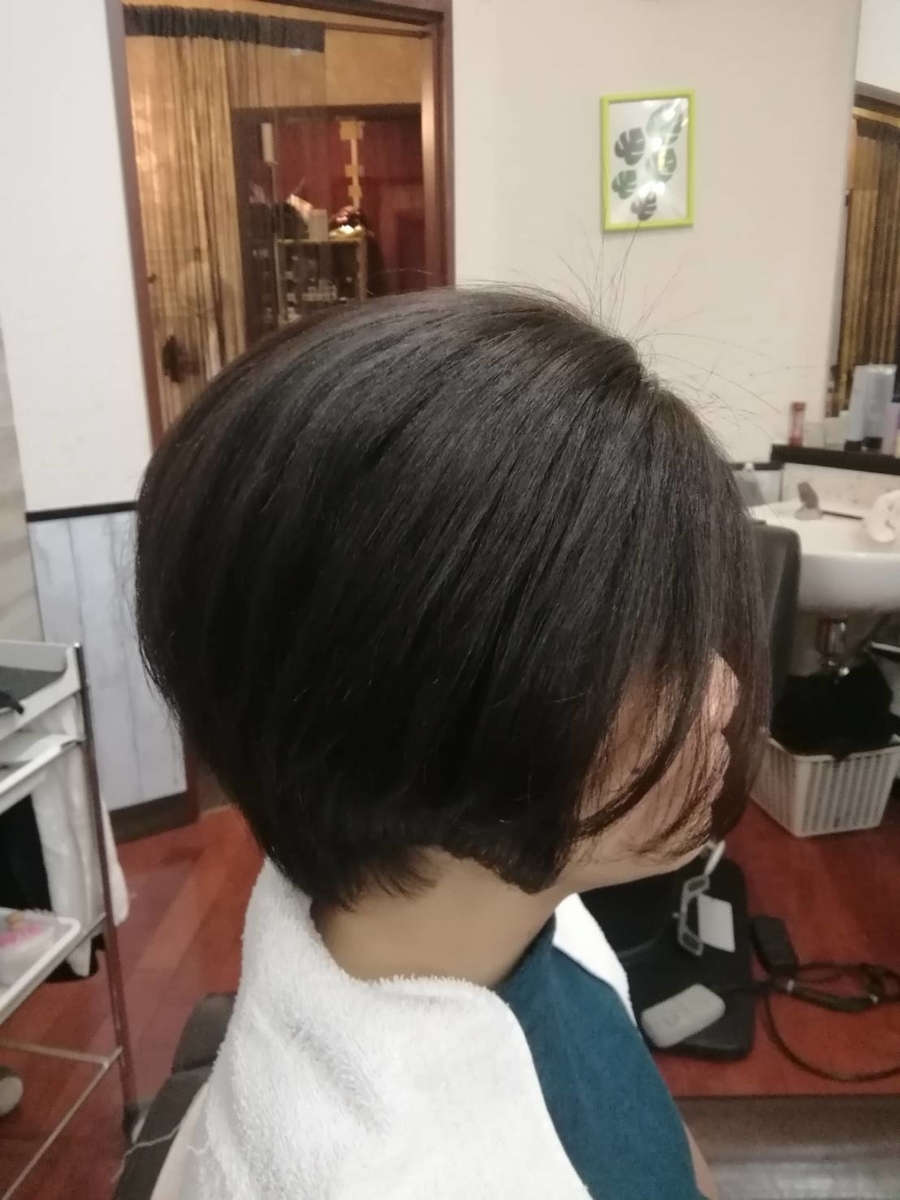 f:id:Toshi0308i:20190424112956j:plain