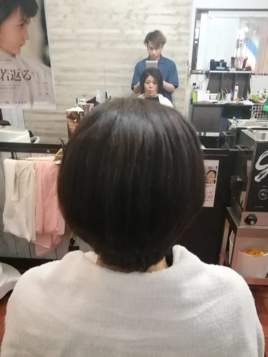 f:id:Toshi0308i:20190424113233j:plain