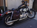 Harley Davidson sportster 883