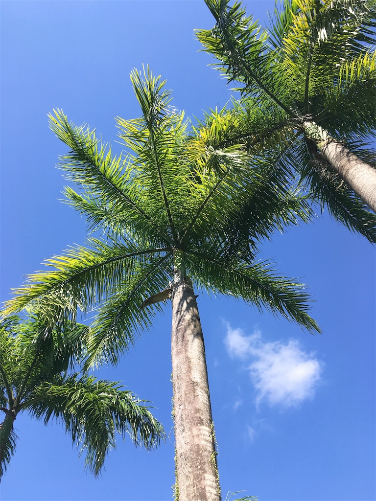 f:id:Toshibo:20171004104402j:image