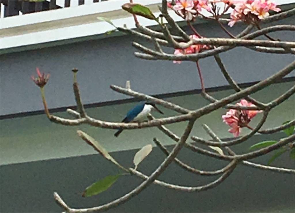 f:id:Toshibo:20171004111641j:image