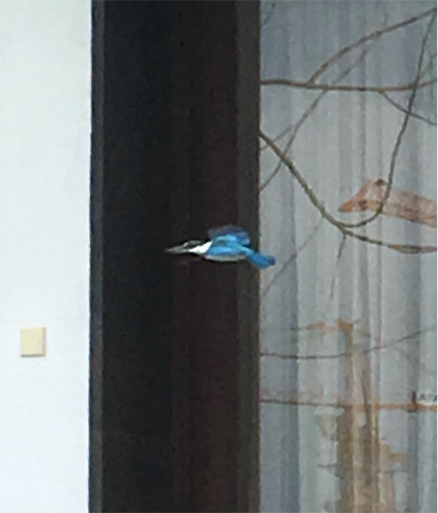 f:id:Toshibo:20171004111647j:image