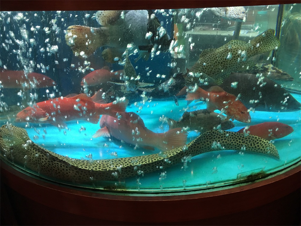 f:id:Toshibo:20171114094323j:image