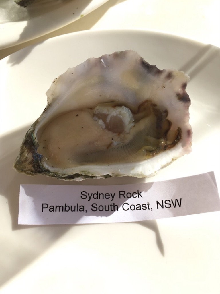 f:id:Toshibo:20171125213810j:image